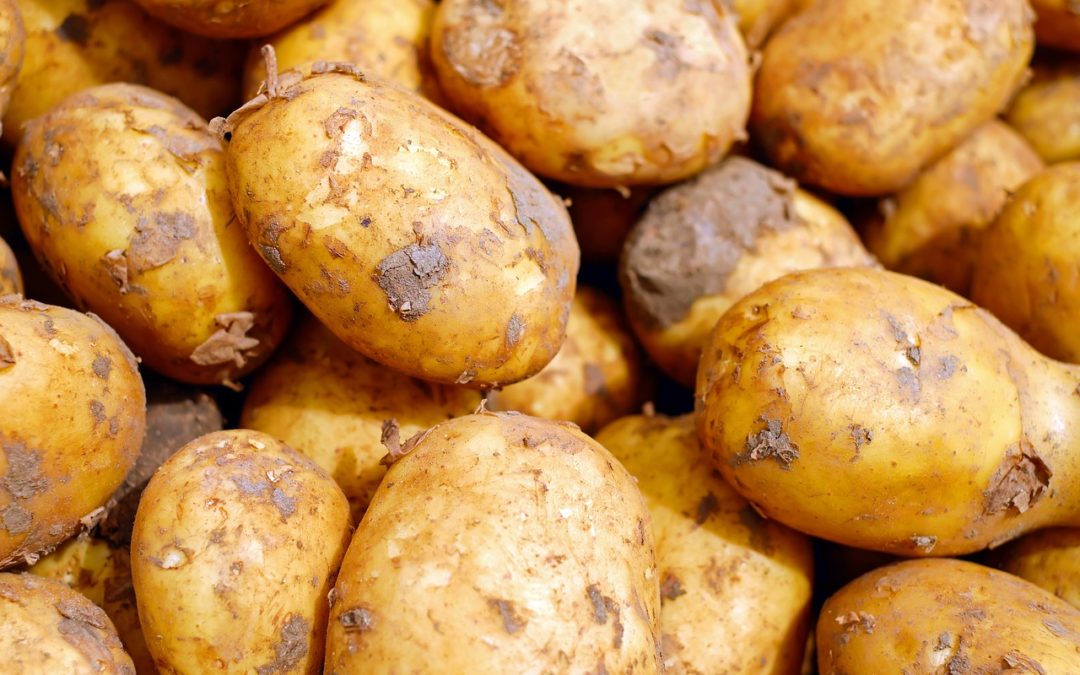 Clarebout Potatoes – Toujours pas de communication officielle !