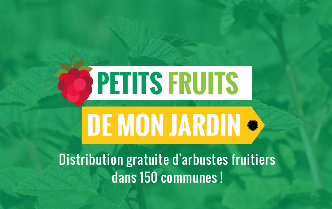 Distribution de petits fruitiers en Wallonie Picarde