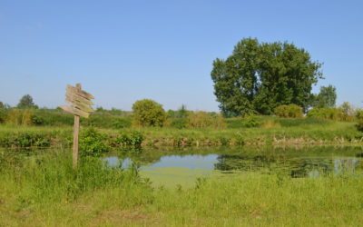 Visite à Frasnes-les-Bassins : la beauté de la nature.
