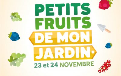 Petits fruits dans mon jardin